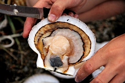 Экскурсионно-активный тур на Сахалин и Курильские острова «Ожерелье Курильской гряды» (Сахалин – Кунашир – Шикотан – Итуруп) рис.3