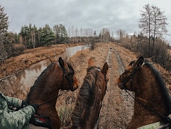 Конный тур во Владимирскую область «Weekend на хуторе» рис.5