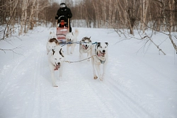 Комбинированный тур на Камчатку «Палитра весны» рис.5