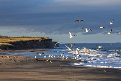 Экскурсионно-активный тур на Сахалин и Курильские острова «Ожерелье Курильской гряды» (Сахалин – Кунашир – Шикотан – Итуруп) рис.4