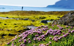 Экспедиционный круиз на Шпицберген «Северный Шпицберген»  рис.3
