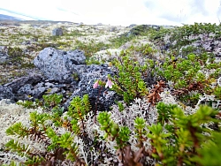 Экскурсионный тур на Кольский полуостров «Тайны Севера» рис.4