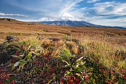 Комбинированный тур на Камчатку без палаток «Зов странствий (осень)» рис.3
