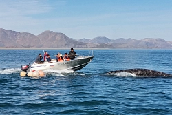 Экспедиция на Чукотку «Лорино – столица китобоев» рис.3