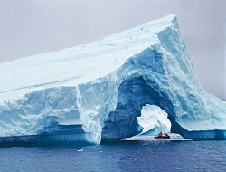 Императорские пингвины на о.Сноу Хилл рис.3