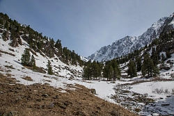 Комбинированный тур на Алтае на майские праздники «Весенний Алтай» рис.5