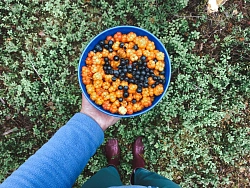 Сплав на катамаранах в Карелии «Северная красавица – река Пистайоки» рис.4