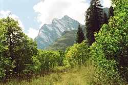 Конный тур на Кавказе «Эко-тропами Теберды» рис.3