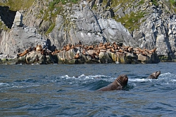 Экспедиция на Чукотку «Путешествие по краю Земли с посещением мыса Дежнёва». Реверсный маршрут рис.2