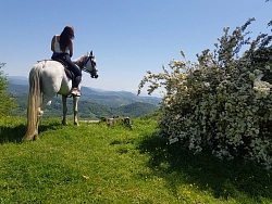 Комбинированный тур в Сочи «Сочинский экспресс» рис.2