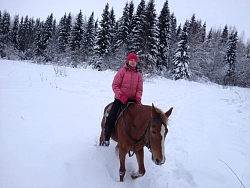 Конный тур в Костромскую область «Самый конный Новый год» рис.3