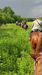 Конный тур в Костромскую область «Деревенские будни» рис.5