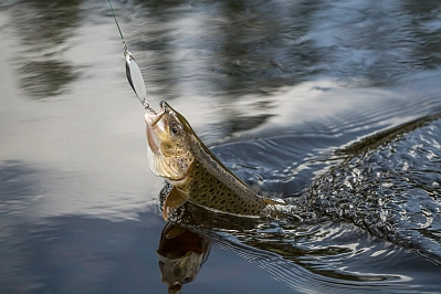 Сплав на катамаранах с мотором и рыбалка в Якутии на реке Амга рис.1