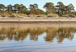 Экскурсионный тур в Архангельской области «Архангельск. Белое море. Самое интересное» рис.5