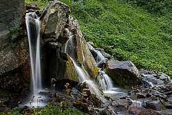Пеший тур на Алтай «Теректинский: тропой древнего хребта» рис.4