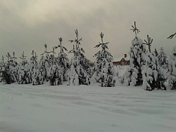 Конный тур в Костромскую область «Январь! Каникулы! Верхом!» рис.4