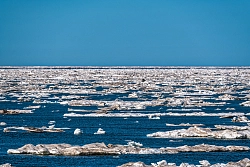 Экспедиционный круиз на Чукотку с посещением мыса Дежнёва на судне «Профессор Хромов» рис.3