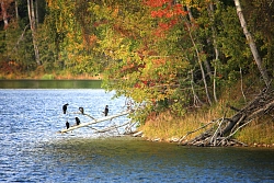 Круиз по Байкалу на теплоходе «Александр Великий» пос. Листвянка – пос. Листвянка «Очарование севера», 7 дней рис.3
