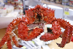 Экскурсионно-активный тур на Сахалин и Курильские острова «Сахалин – Итуруп – Кунашир» рис.2