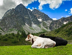 Пеший тур с палатками на Кавказе «Селфи со звездами»  рис.5