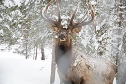 Комбинированный тур в Башкирии «Через три заповедника Урала» (осень – зима – весна) рис.2