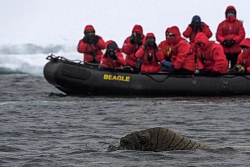 Экспедиционный круиз на Землю Франца–Иосифа и Шпицберген «Дорогами первопроходцев», 15 дней рис.4