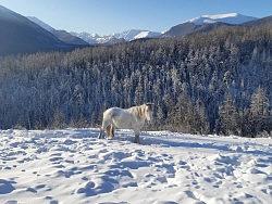 Джип-тур на Алтае «Алтайская зимняя сказка» рис.2