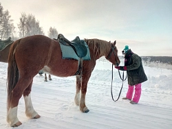 Конный тур в Костромскую область «Выходные в седле» на 2 дня рис.3