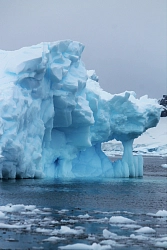 Экспедиционный круиз к Антарктическому полуострову на судне Ortelius/ Hondius рис.5