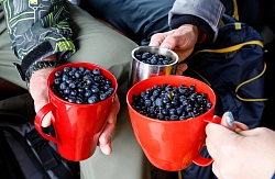 Активный тур на Ямале «Крайняя Восточная точка Европы» рис.5