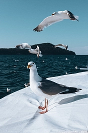 Активно-экскурсионный тур на Байкале «Байкал. Восточный берег – 6 дней» рис.1