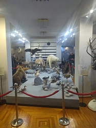 Экспедиционный тур в Якутии и Магаданской области «Якутск – Оймякон – Магадан» рис.3