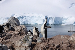 Парусная экспедиция к Антарктическому полуострову на судне Amazone (с однократным перелетом через пролив Дрейка) (Пунта-Аренас – Ушуайя) рис.3