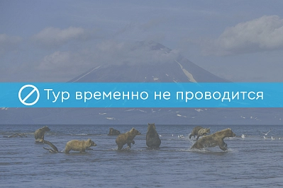 Активный тур на Камчатке «Живые вулканы»