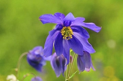 Комбинированный тур на Алтае «Алтайский калейдоскоп» рис.2