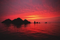 Экспедиционный тур на Шантарские острова «Киты залива Николая» рис.4