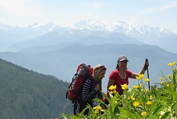 Дары Алтая рис.2