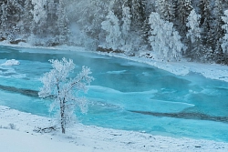 Экскурсионный тур на Алтае «7 чудес Алтая» (зима) рис.3