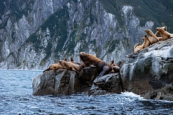 Экспедиционный круиз на Дальний Восток «От Чукотки до Камчатки с посещением Командорских островов» на судне «Профессор Хромов» рис.4