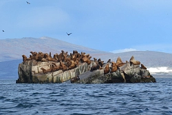 Экспедиция на Чукотку «Путешествие по краю Земли» рис.5