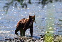 Комбинированный тур на Камчатку «Медведи и лучшее на Камчатке» рис.3