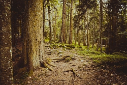 Пеший тур на Кавказе «Золотая осень на Домбае» рис.3