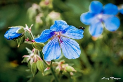 Экскурсионный тур в Башкирии «Малое ожерелье Южного Урала» рис.5