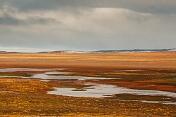 Экспедиционный круиз по Арктике на судне «Профессор Молчанов» «Земля Франца-Иосифа» рис.3