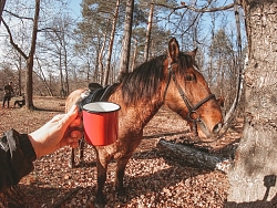Конный тур во Владимирскую область «Weekend на хуторе» рис.4
