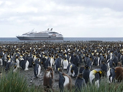 Экспедиционный круиз в Антарктику «Антарктический полуостров, Фолклендские острова, Южная Георгия» на мега-яхте L’Austral (реверсный маршрут) рис.3