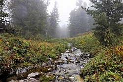 Комбинированный тур на Алтае «Звериными тропами Айгулакского хребта и рафтинг по Средней Катуни» рис.2