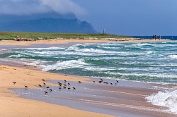 Экспедиционный круиз на Дальний Восток «От Приморья до Сахалина» на судне «Профессор Хромов» рис.4