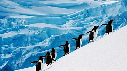 Путешествие в Антарктиду с перелетом на частном самолете рис.2