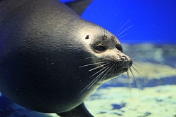 Экскурсионный тур на Байкале «Южное кольцо Байкала» рис.3